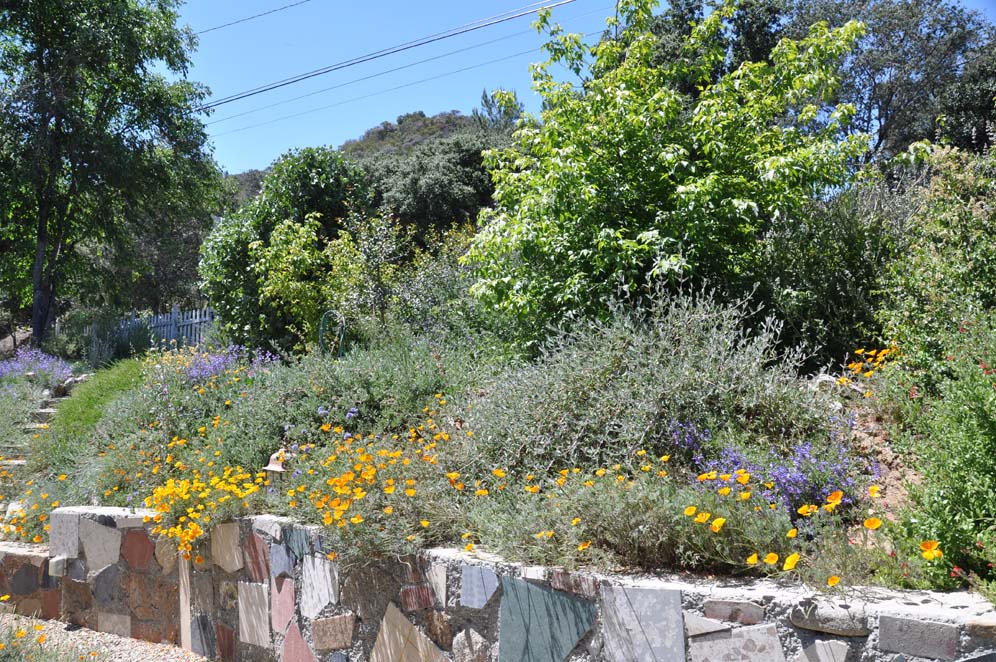 Wildlife Habitat Garden 17