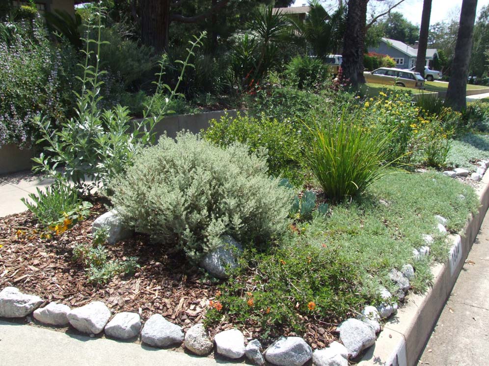 Variety Perennial Bed