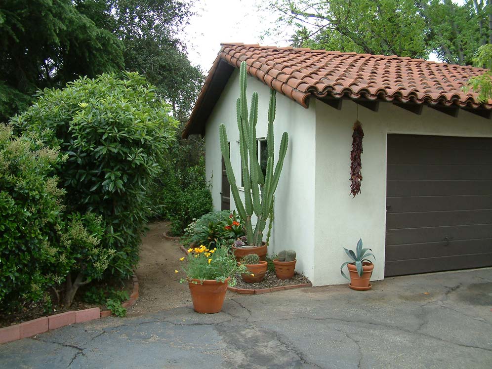 Sycamore Shade Garden 2