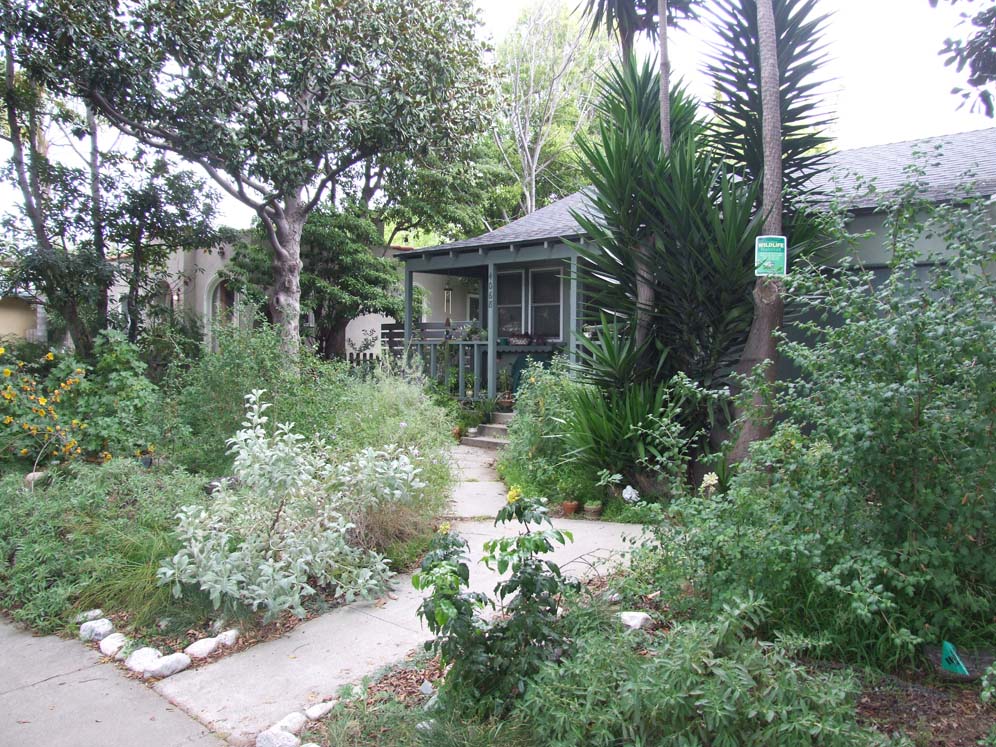 Culver City Garden 2