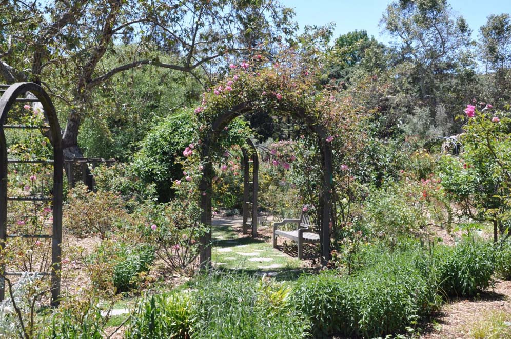 Descanso Gardens 9